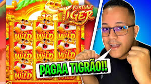 jogo do tiger para mobile